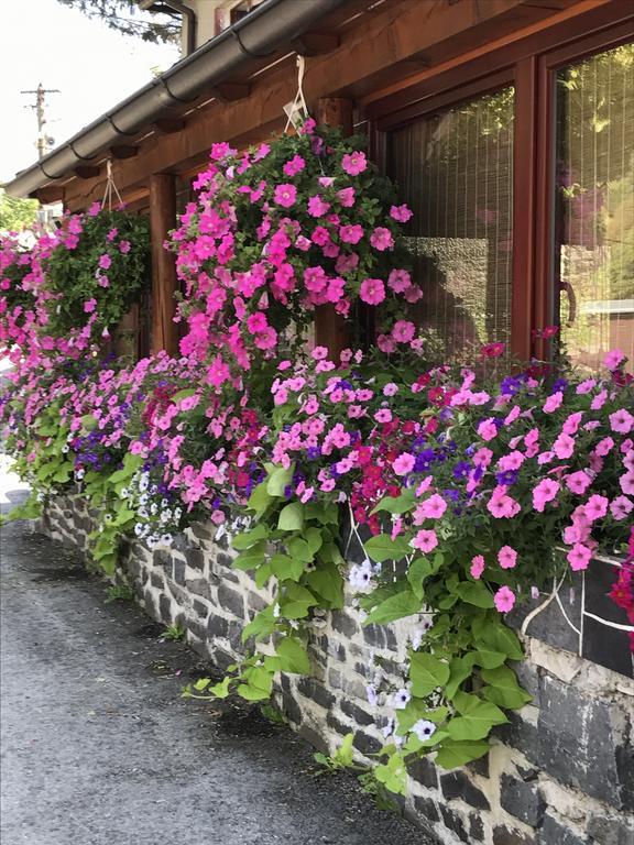Penzion Holub Tajov Bagian luar foto